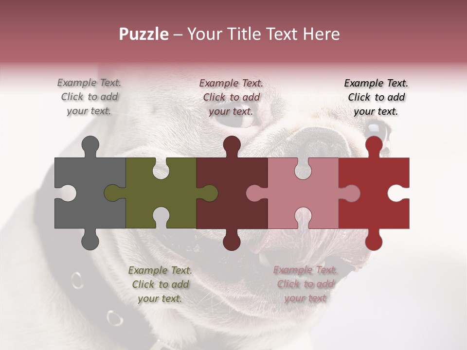 Studio Dog Black PowerPoint Template