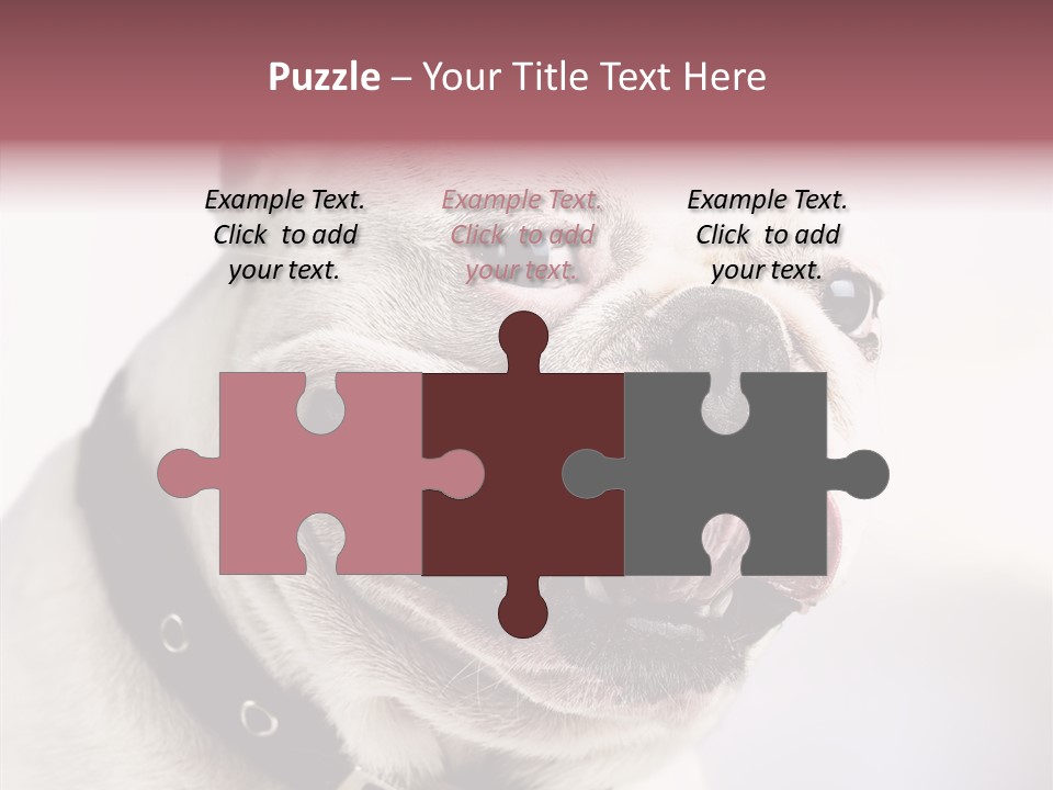 Studio Dog Black PowerPoint Template