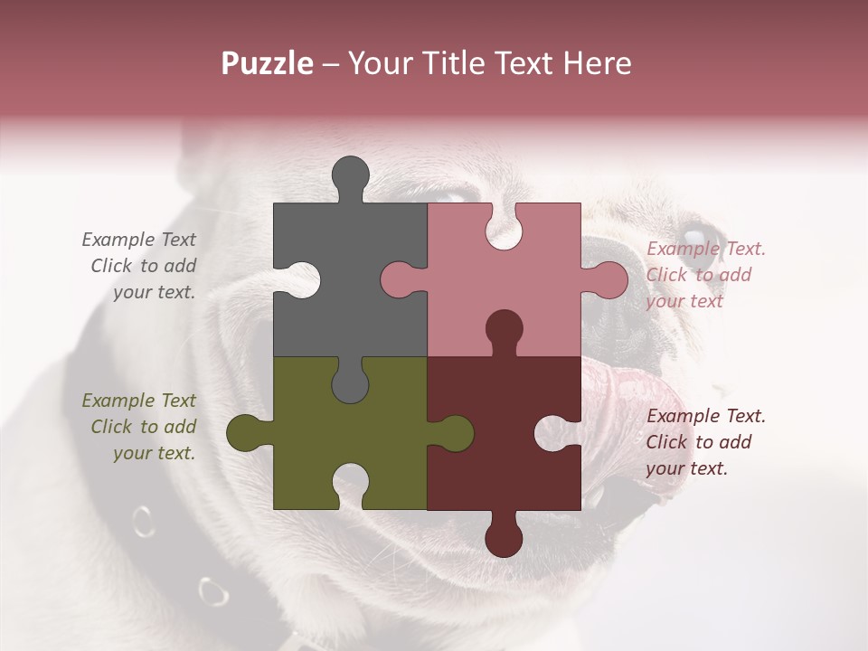 Studio Dog Black PowerPoint Template