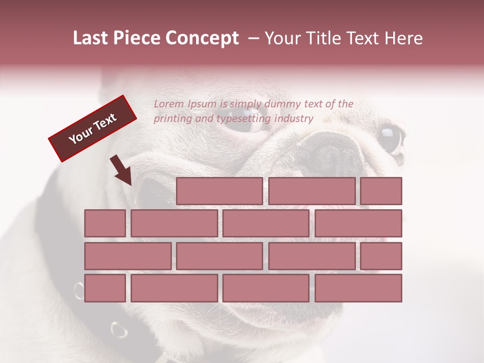 Studio Dog Black PowerPoint Template