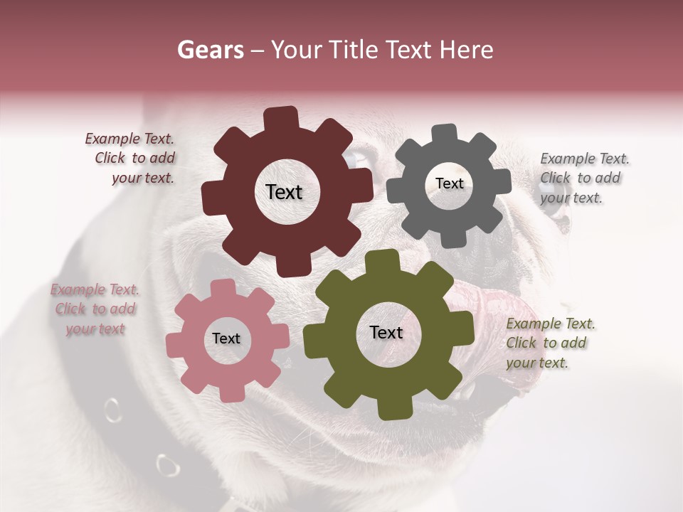 Studio Dog Black PowerPoint Template