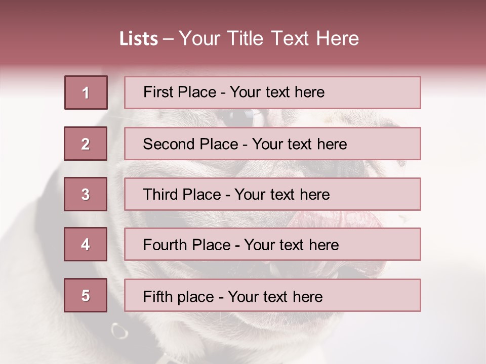 Studio Dog Black PowerPoint Template