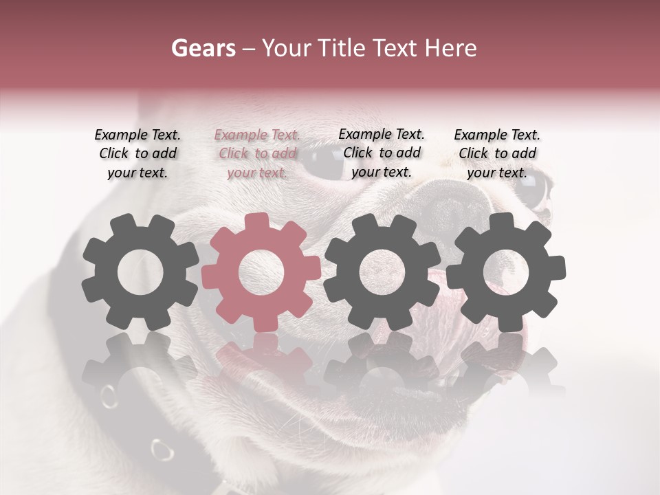 Studio Dog Black PowerPoint Template