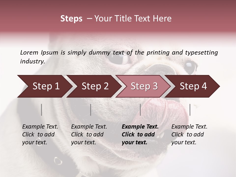 Studio Dog Black PowerPoint Template