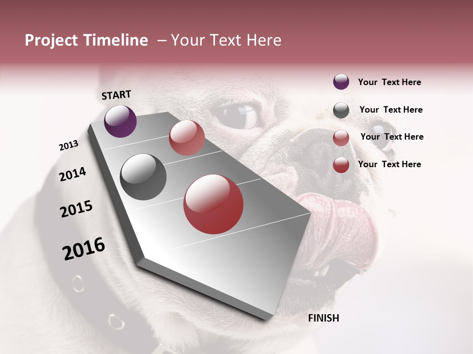 Studio Dog Black PowerPoint Template