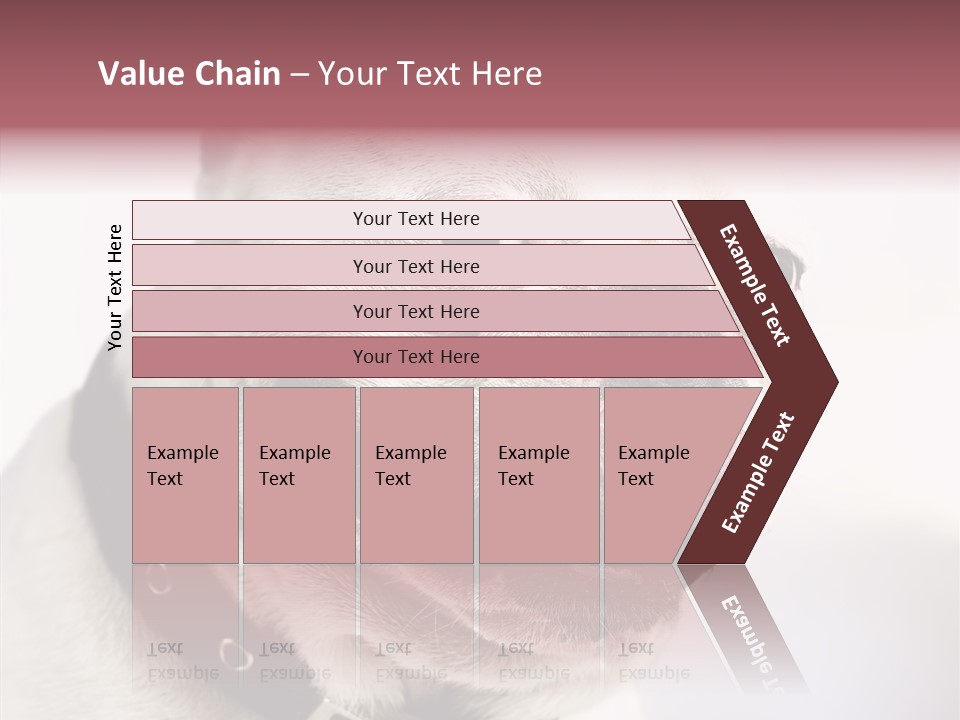 Studio Dog Black PowerPoint Template