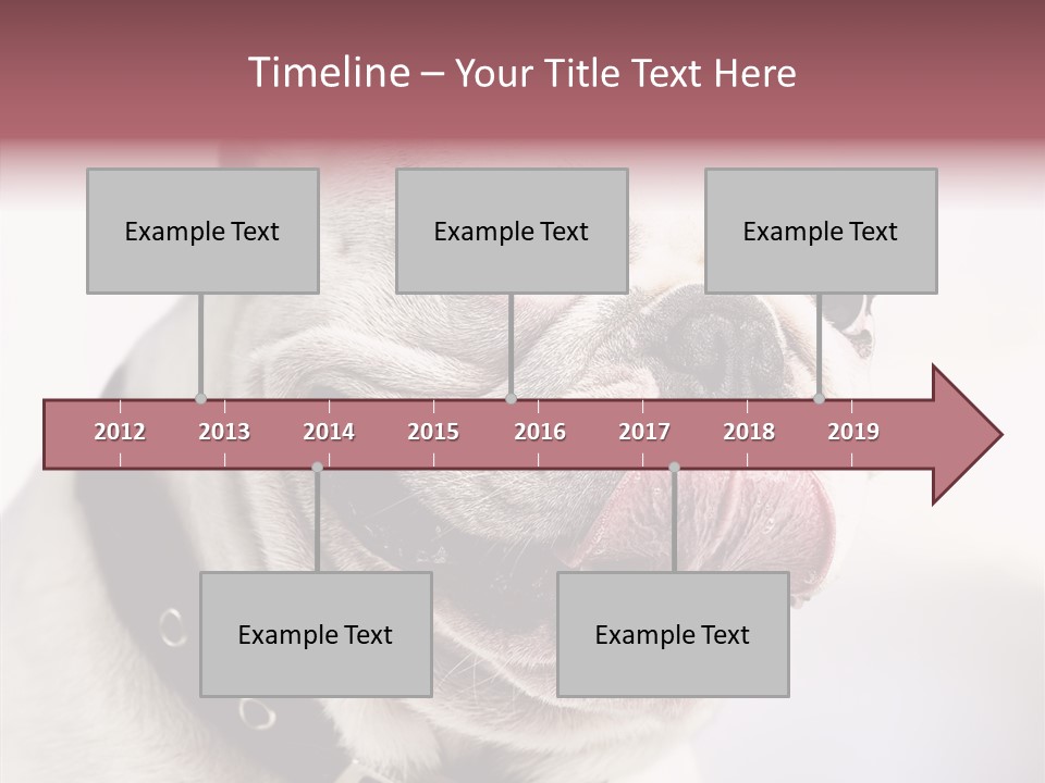 Studio Dog Black PowerPoint Template