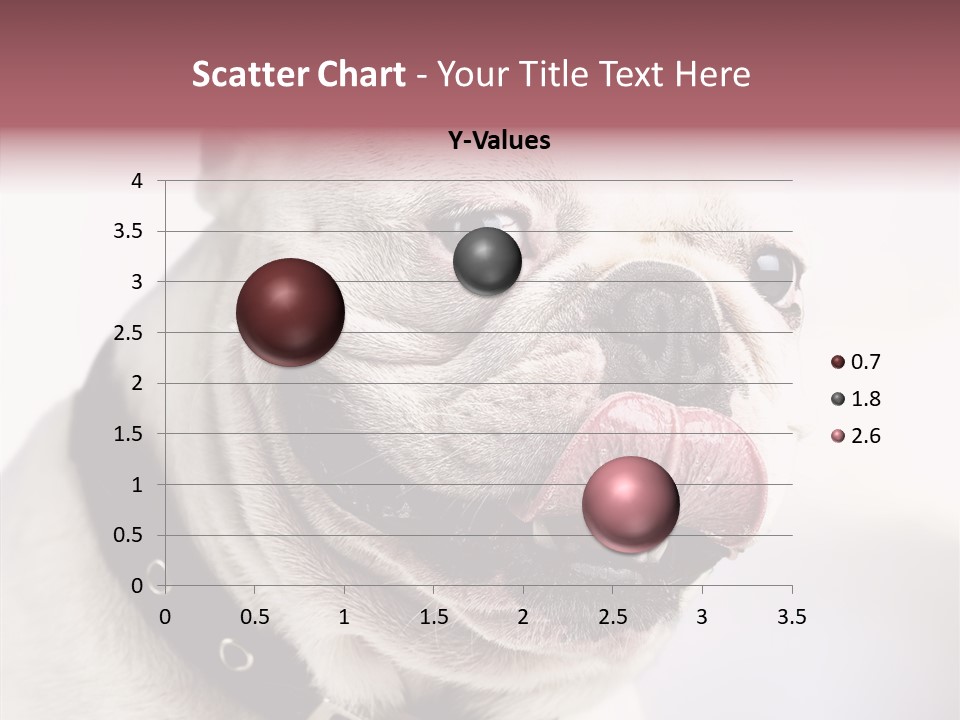 Studio Dog Black PowerPoint Template