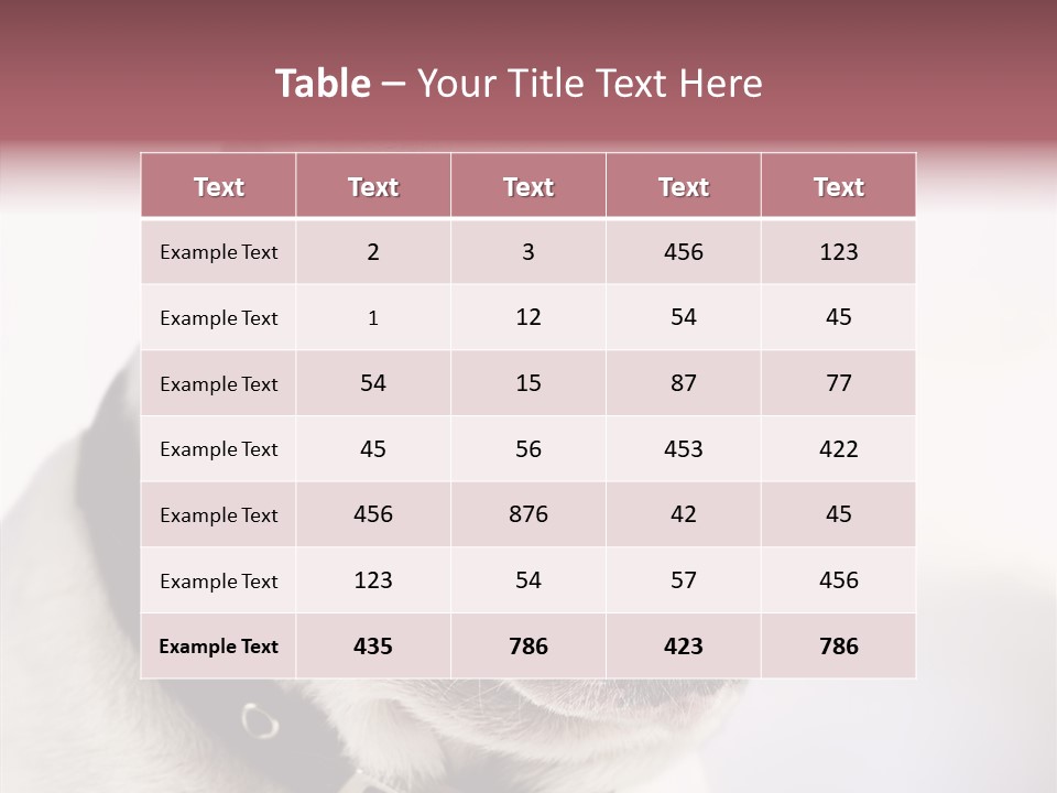 Studio Dog Black PowerPoint Template