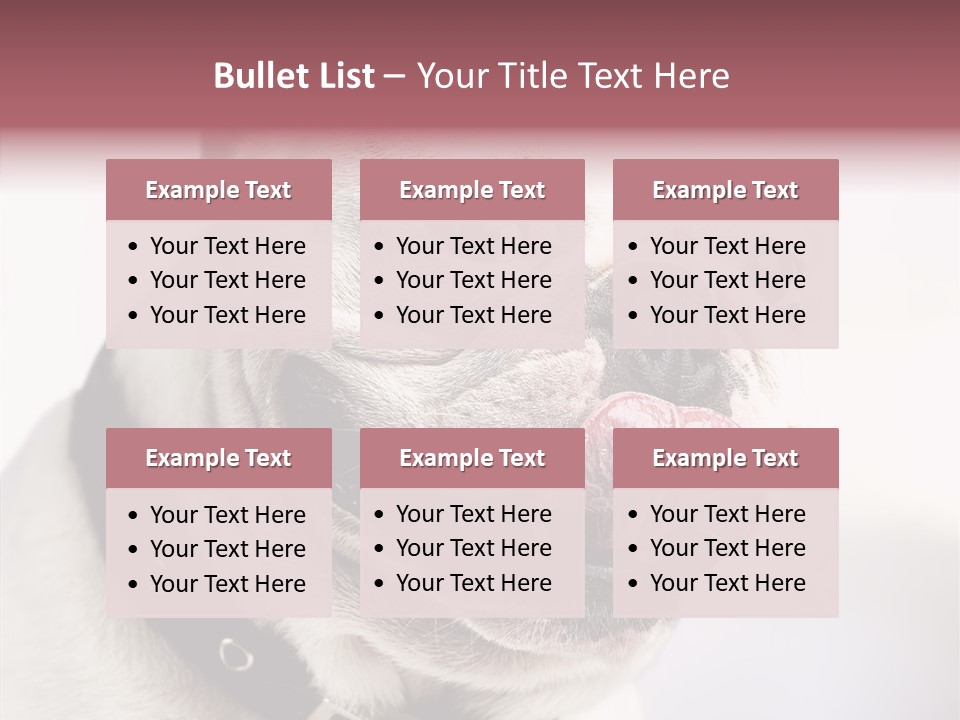 Studio Dog Black PowerPoint Template