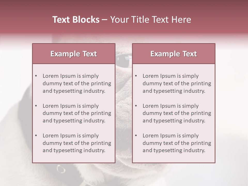 Studio Dog Black PowerPoint Template