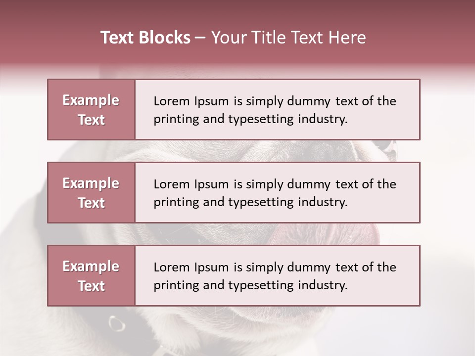 Studio Dog Black PowerPoint Template