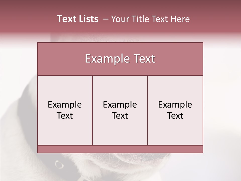 Studio Dog Black PowerPoint Template