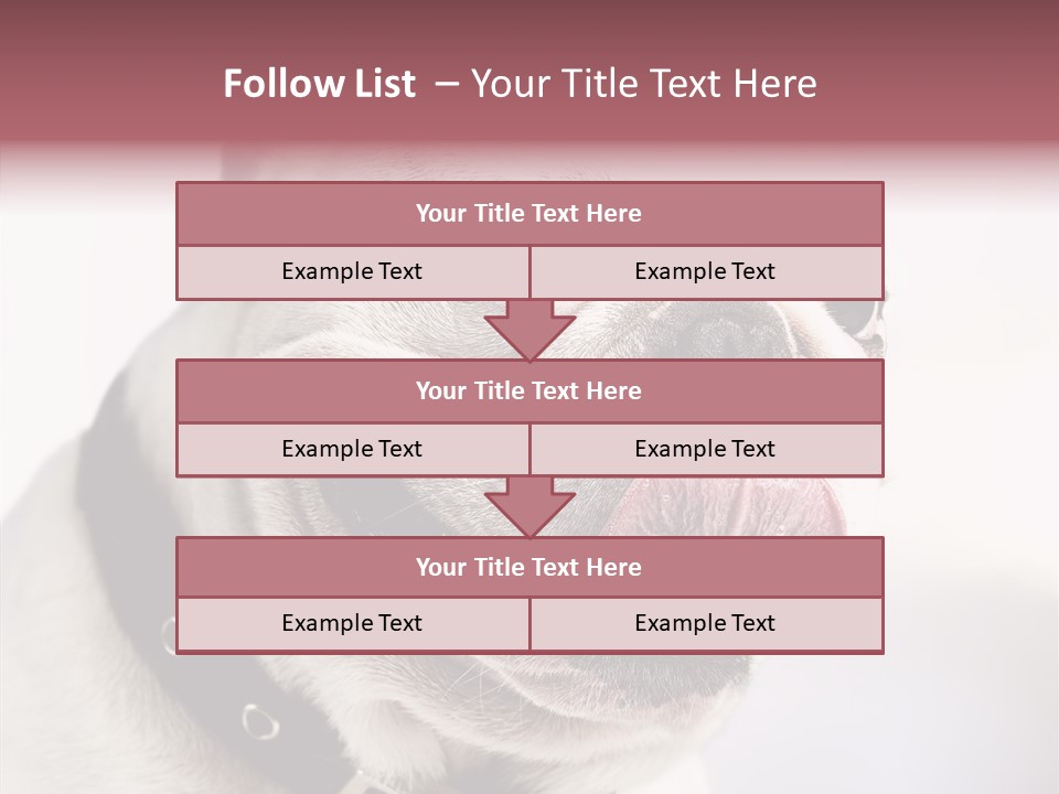 Studio Dog Black PowerPoint Template