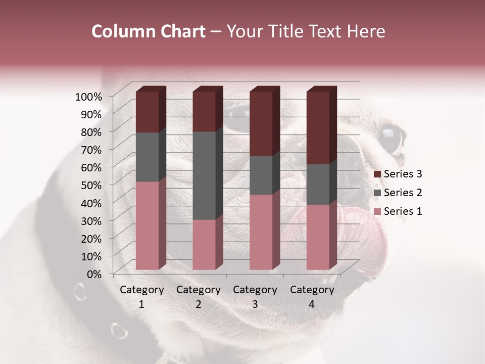 Studio Dog Black PowerPoint Template