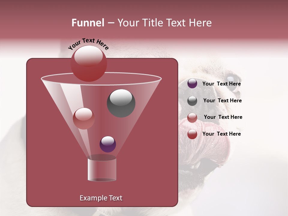 Studio Dog Black PowerPoint Template