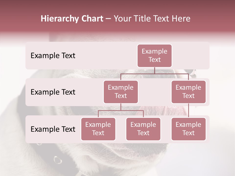 Studio Dog Black PowerPoint Template