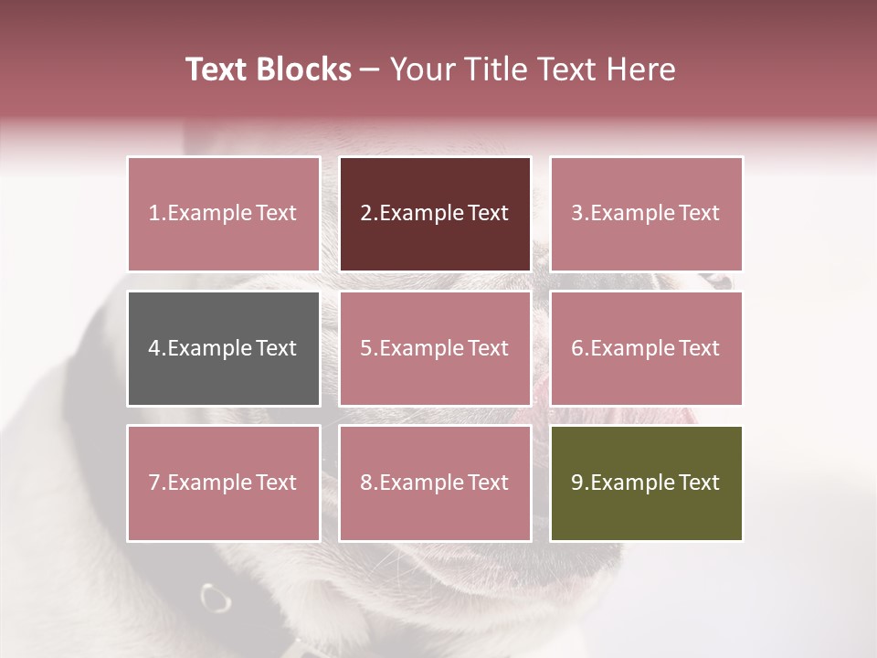 Studio Dog Black PowerPoint Template