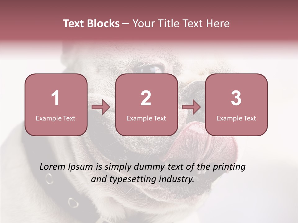 Studio Dog Black PowerPoint Template