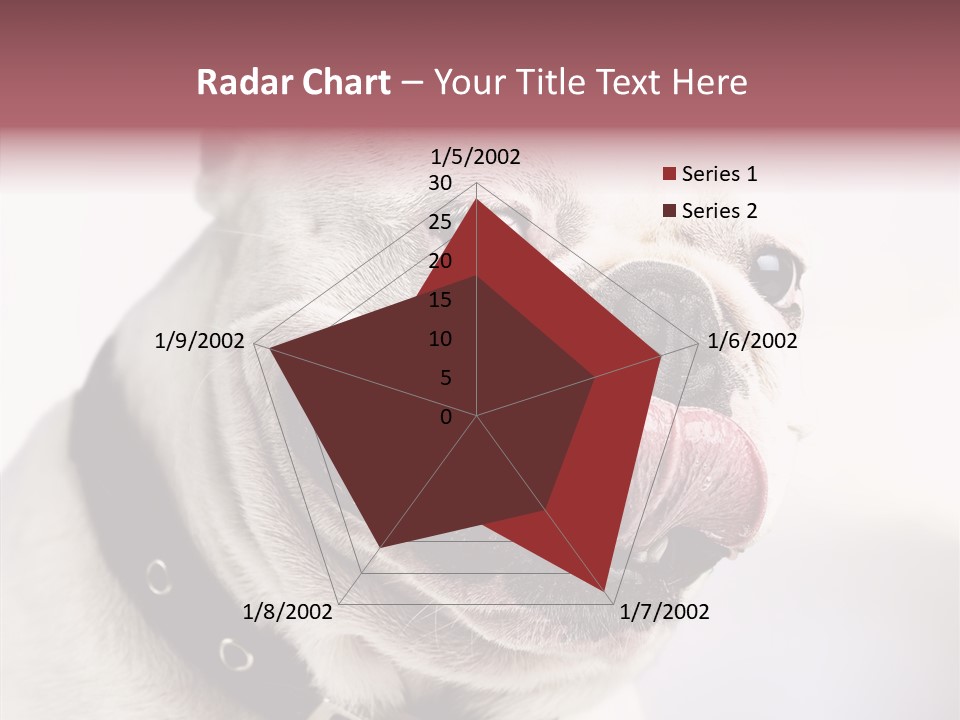 Studio Dog Black PowerPoint Template