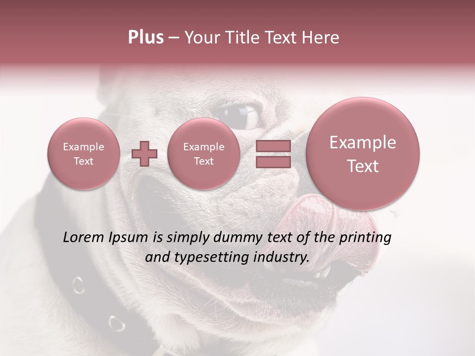 Studio Dog Black PowerPoint Template