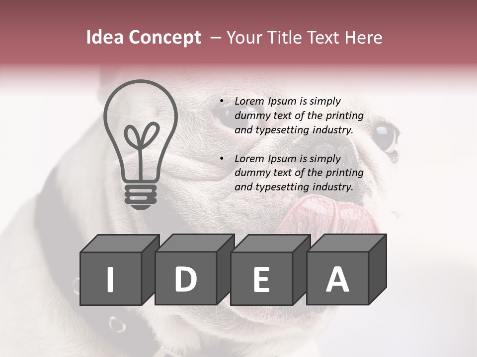 Studio Dog Black PowerPoint Template