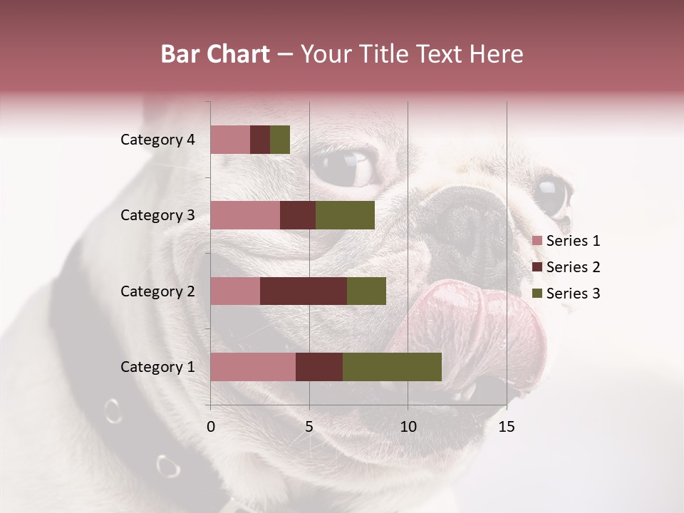 Studio Dog Black PowerPoint Template