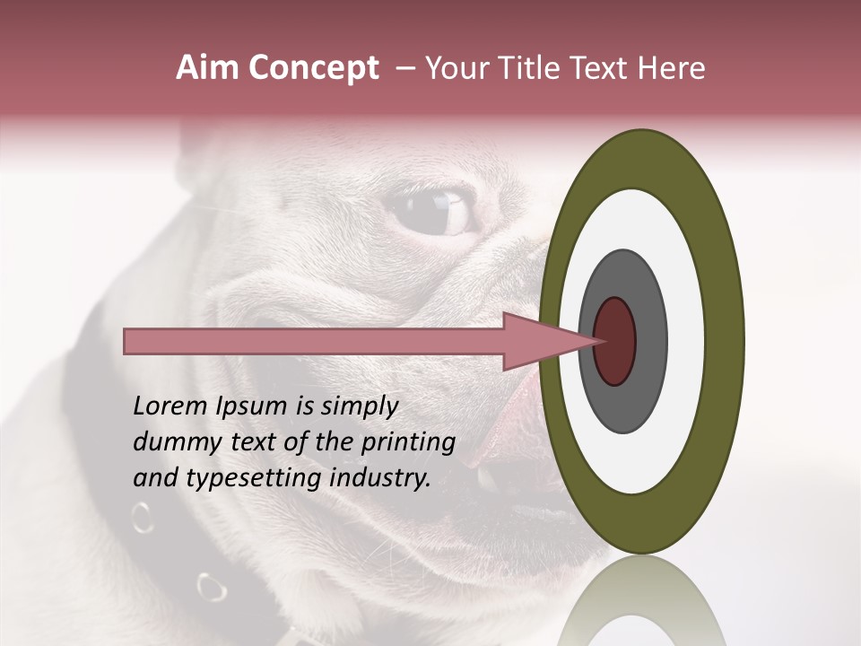 Studio Dog Black PowerPoint Template