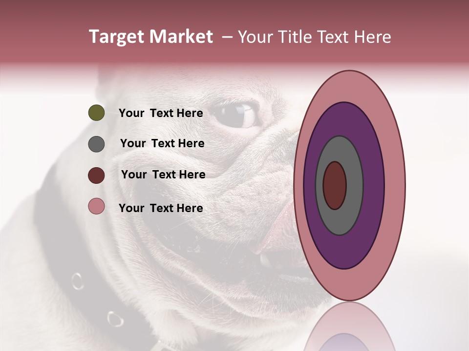 Studio Dog Black PowerPoint Template