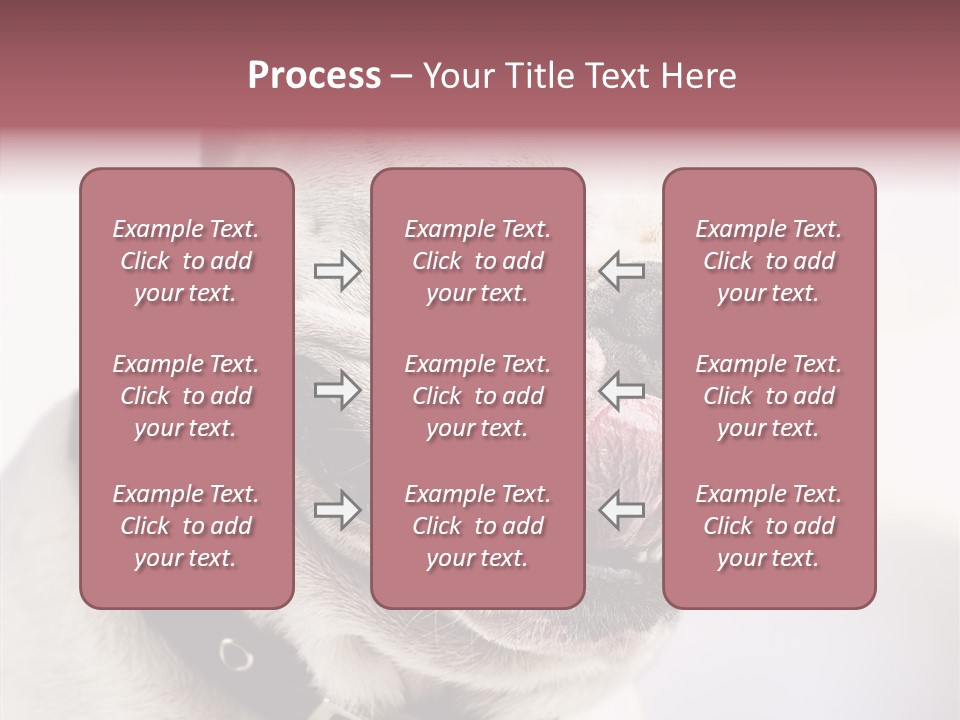 Studio Dog Black PowerPoint Template