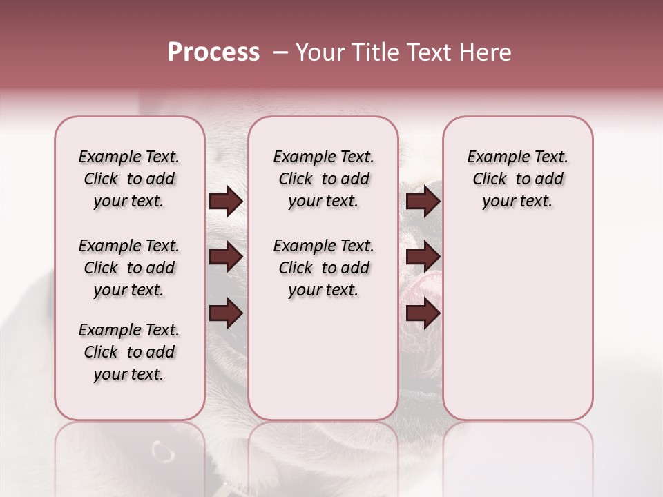 Studio Dog Black PowerPoint Template