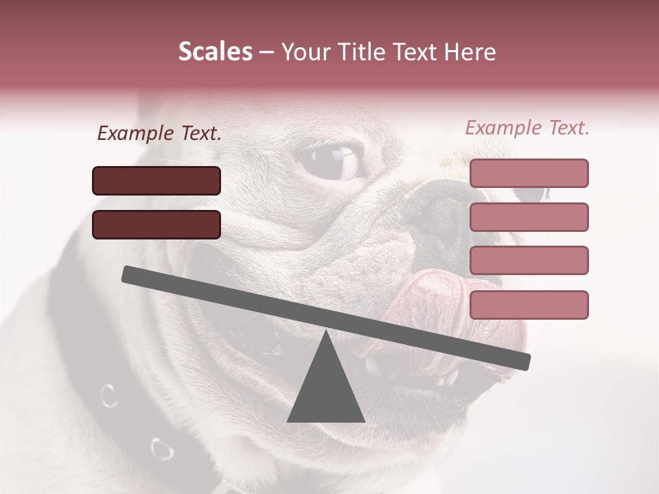 Studio Dog Black PowerPoint Template