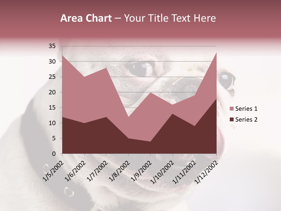 Studio Dog Black PowerPoint Template