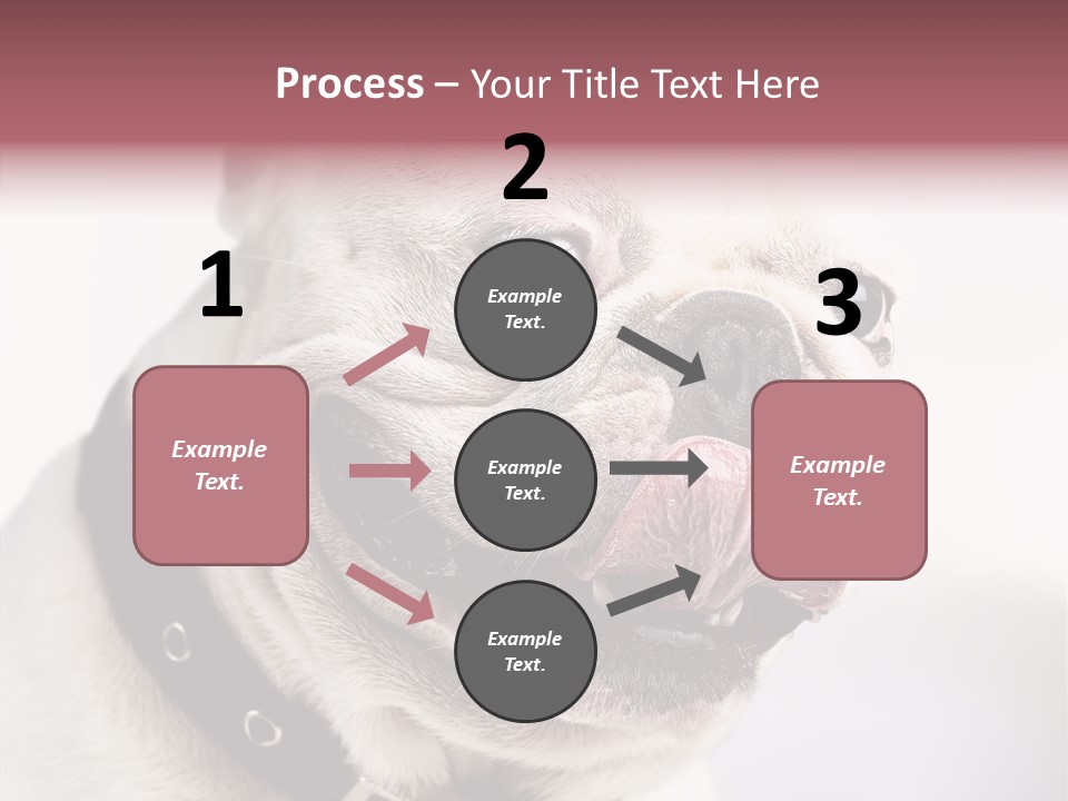 Studio Dog Black PowerPoint Template