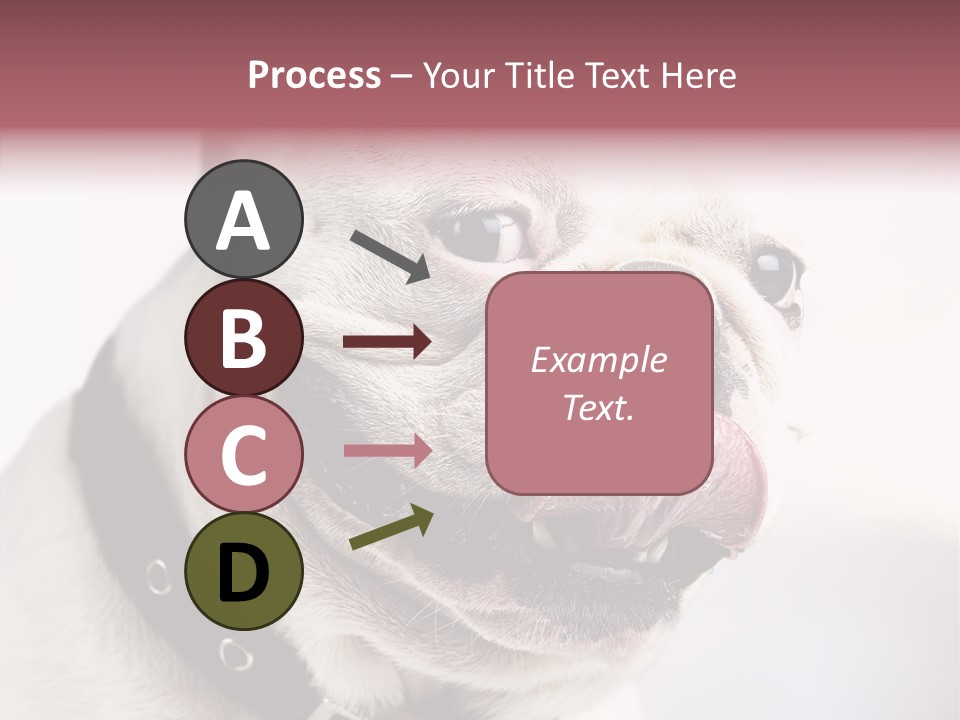 Studio Dog Black PowerPoint Template