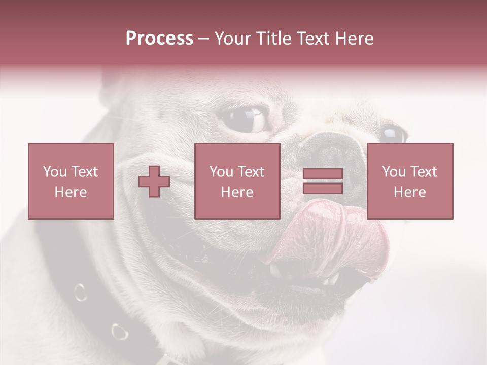 Studio Dog Black PowerPoint Template