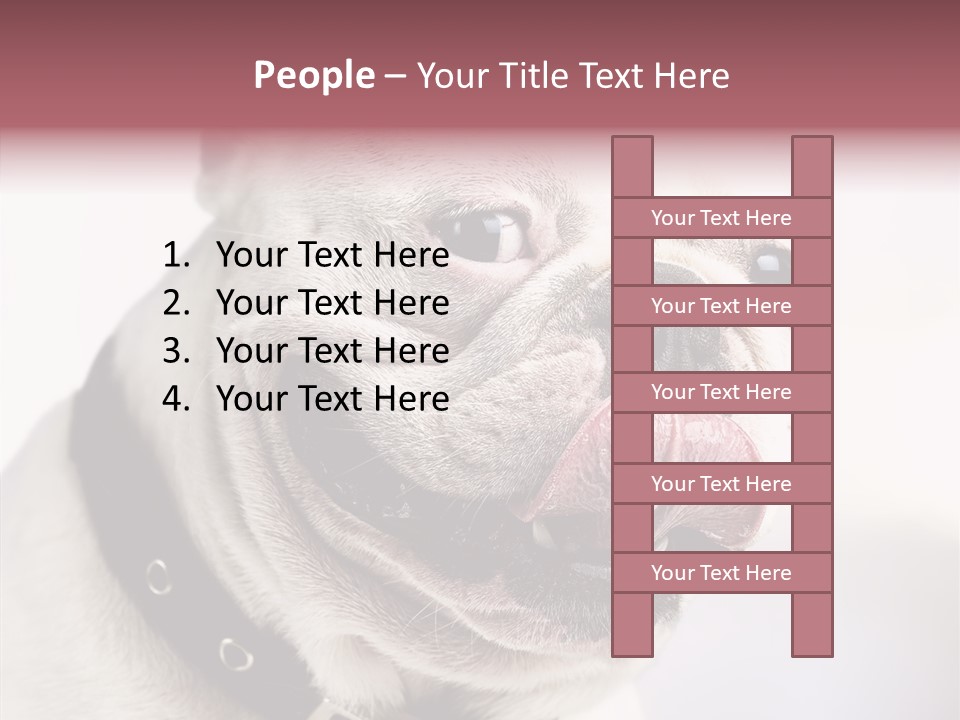 Studio Dog Black PowerPoint Template