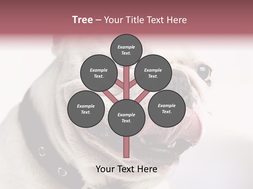 Studio Dog Black PowerPoint Template