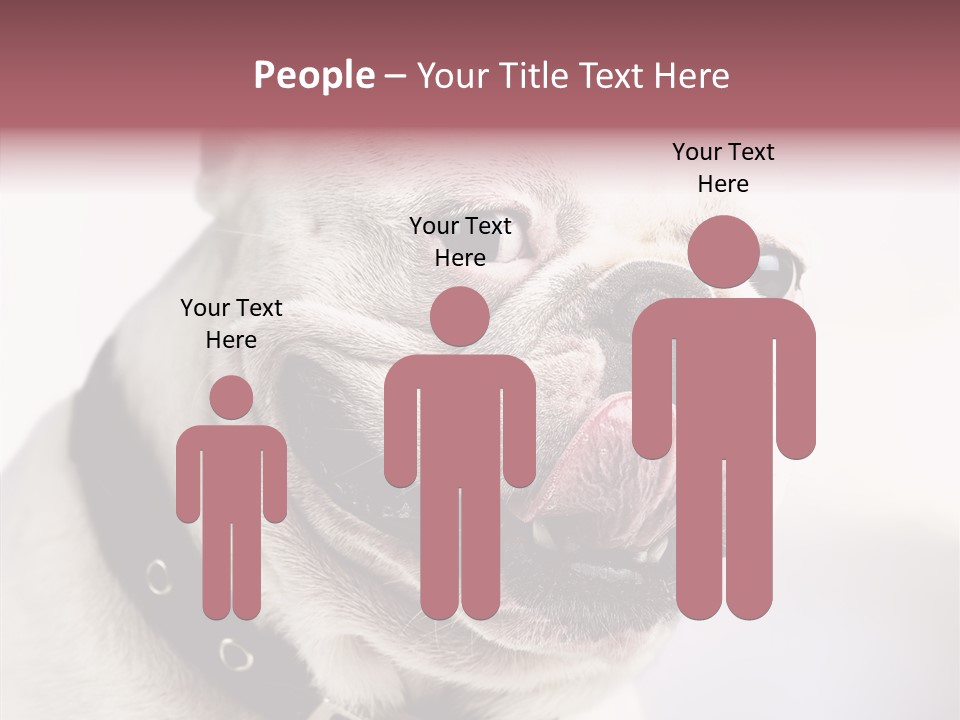 Studio Dog Black PowerPoint Template