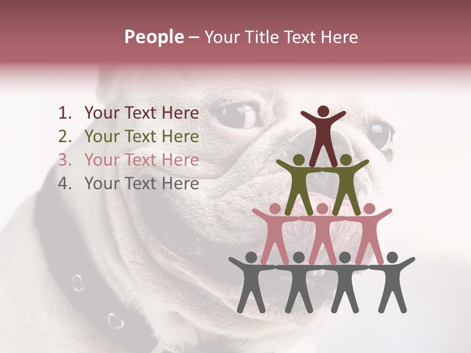 Studio Dog Black PowerPoint Template