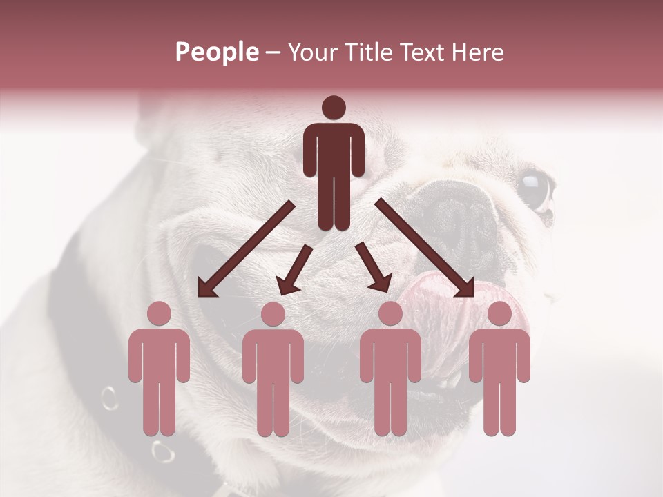 Studio Dog Black PowerPoint Template