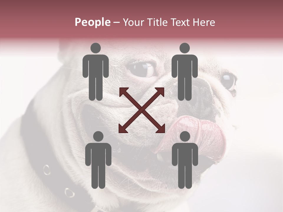 Studio Dog Black PowerPoint Template