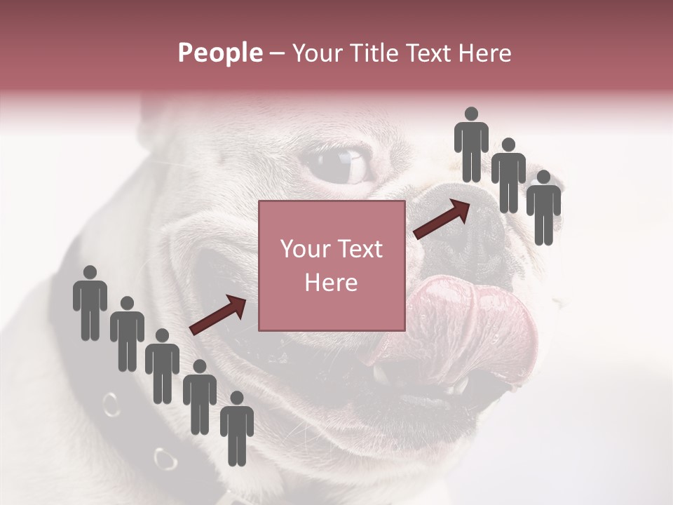 Studio Dog Black PowerPoint Template