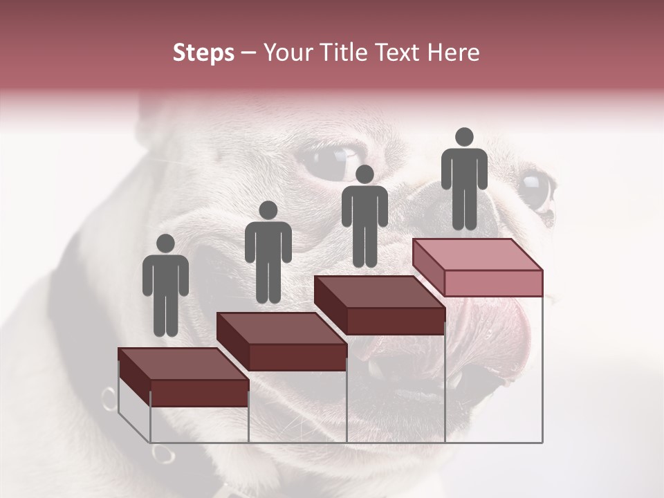 Studio Dog Black PowerPoint Template
