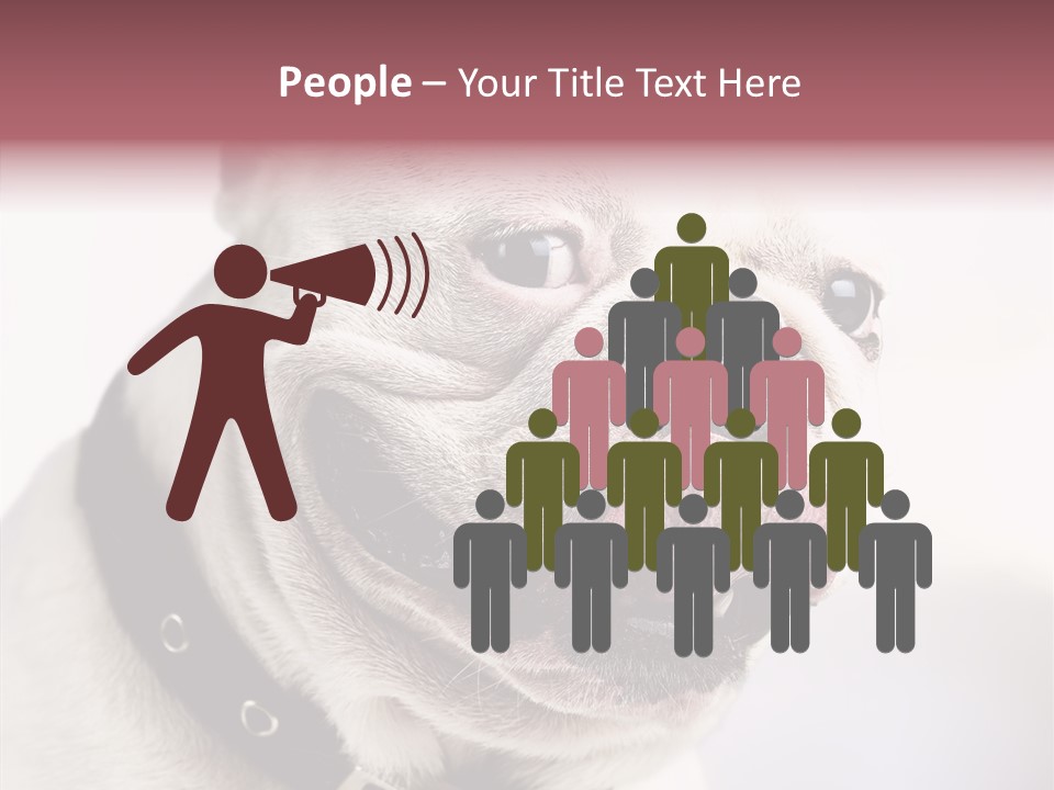 Studio Dog Black PowerPoint Template