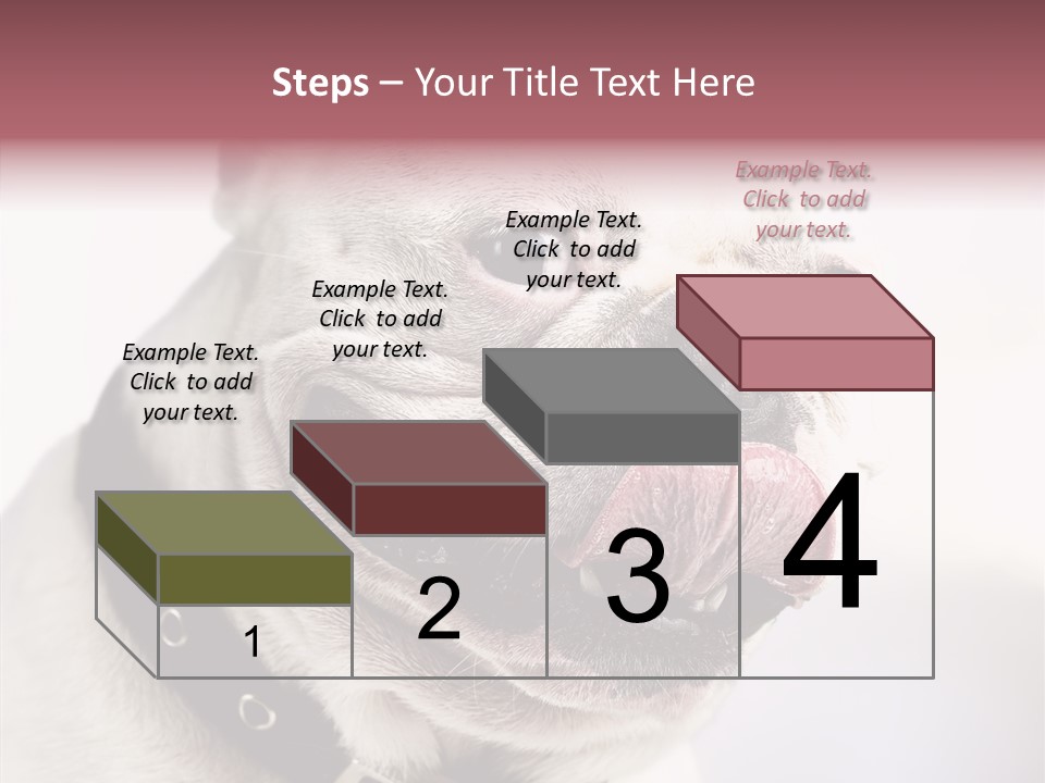 Studio Dog Black PowerPoint Template