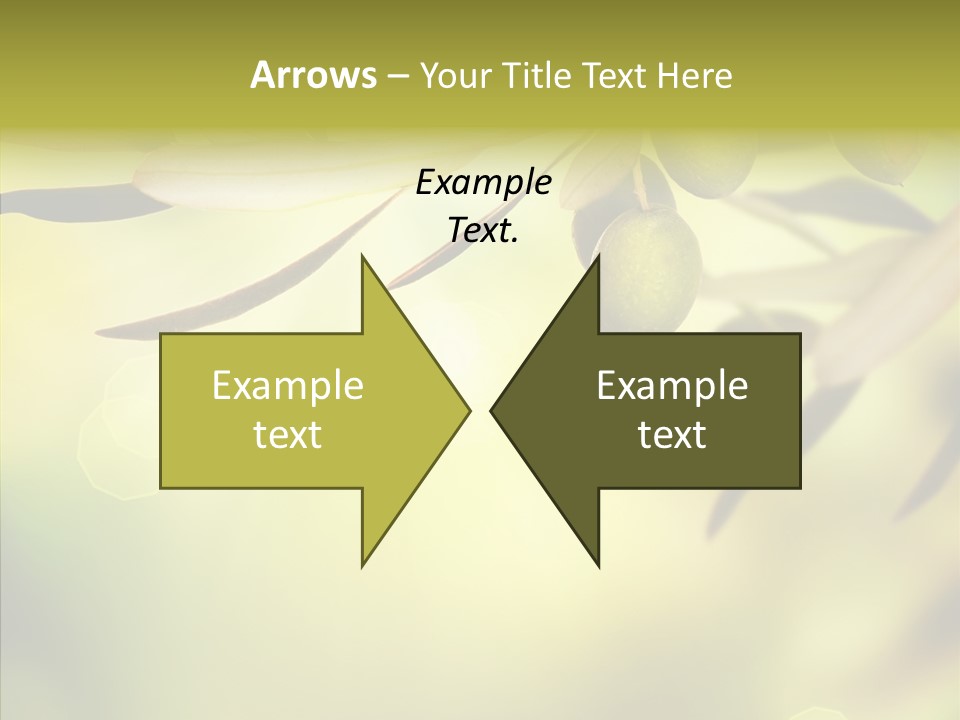 Flora Packaging Growth PowerPoint Template