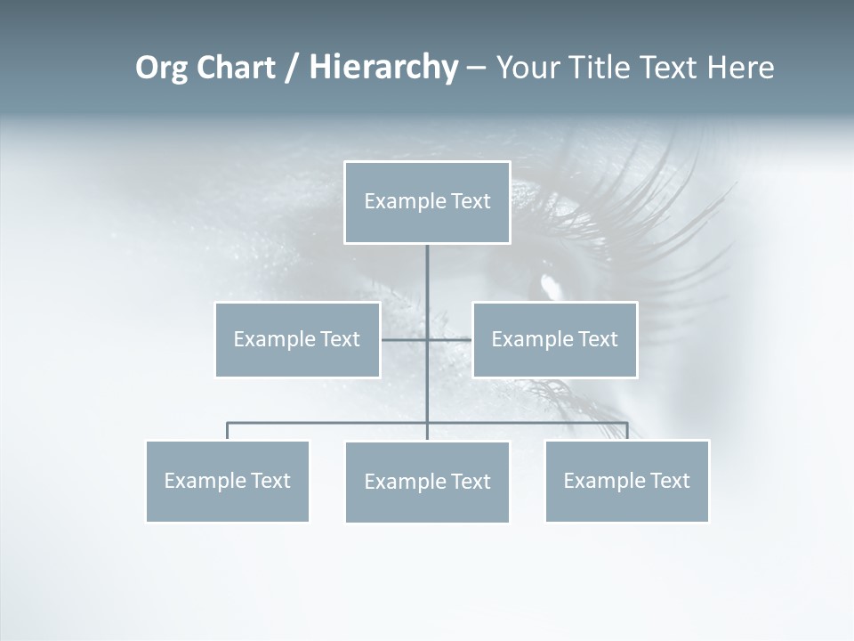 Model Portrait  PowerPoint Template
