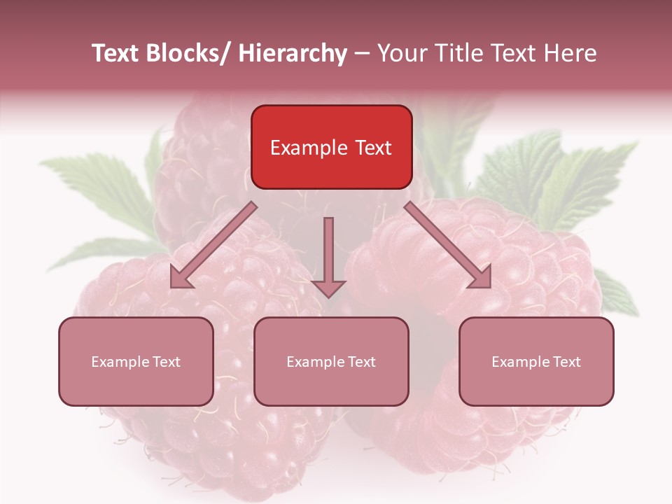 Vitamins Diet Mineral PowerPoint Template