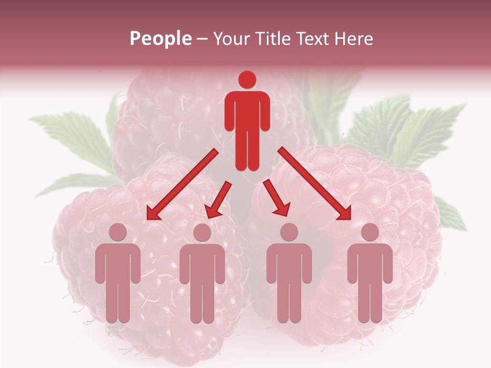 Vitamins Diet Mineral PowerPoint Template